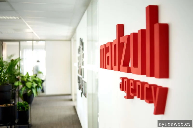 Madzuli Agency