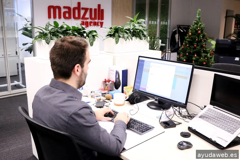 Madzuli Agency