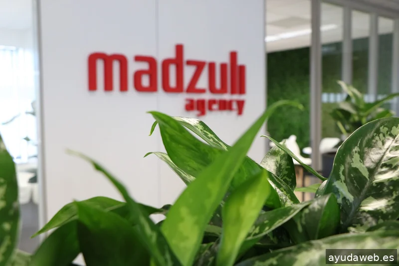 Madzuli Agency