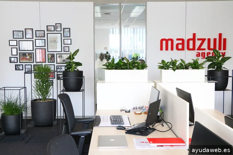 Madzuli Agency