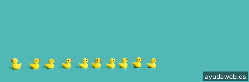 CUACUA Estudio Diseño & Marketing Digital