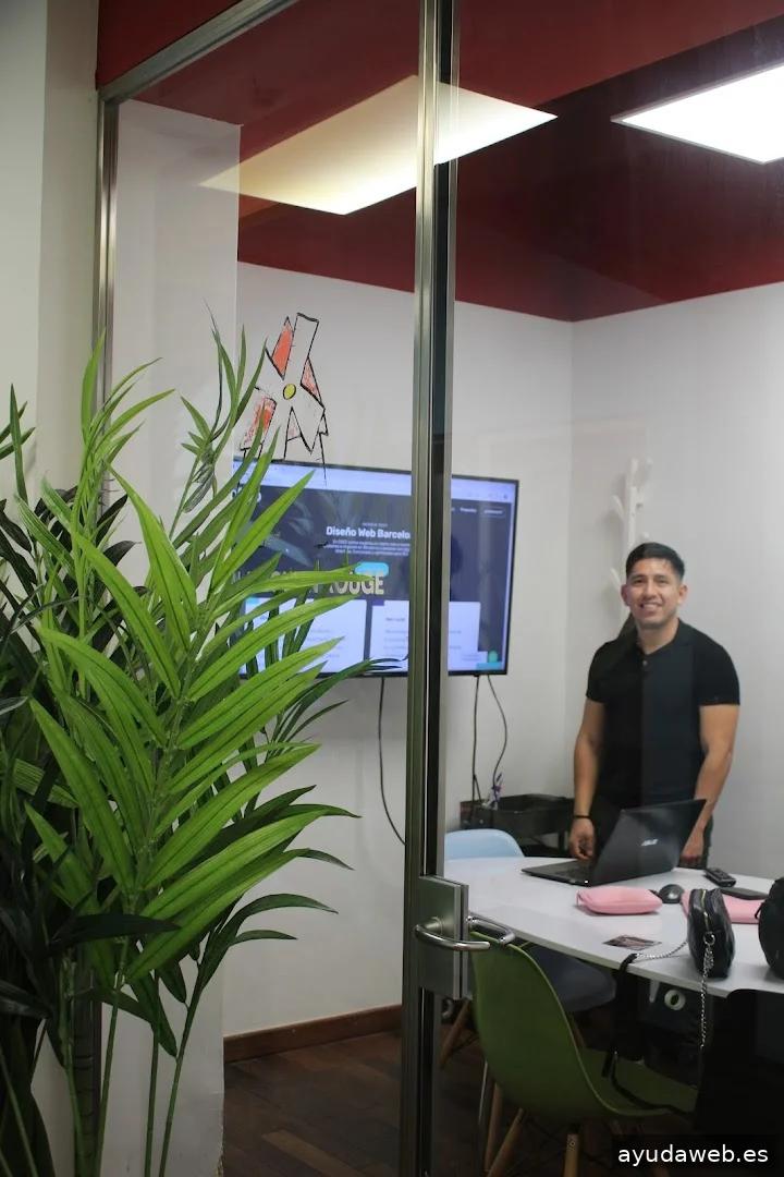 Agencia Diseño Web Barcelona DSEO