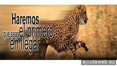 Bag Distribuciones Publicitarias