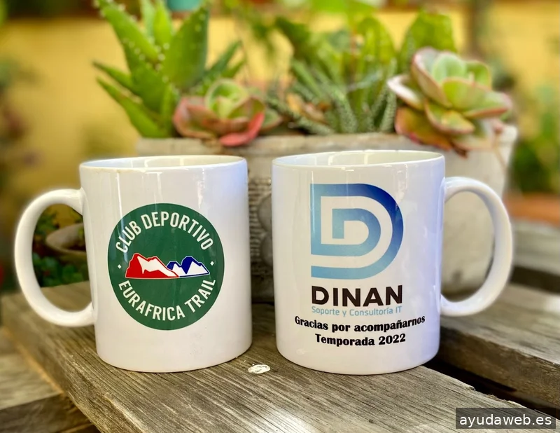 🏅 Dinan Informatica KIT DIGITAL