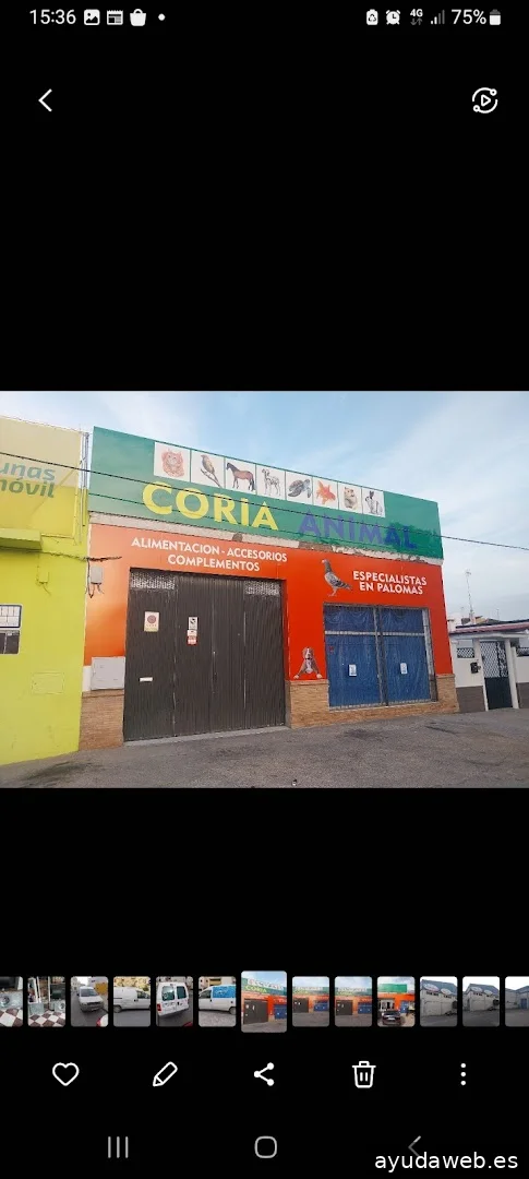 CAURAPRINT Rótulos Y Decoración