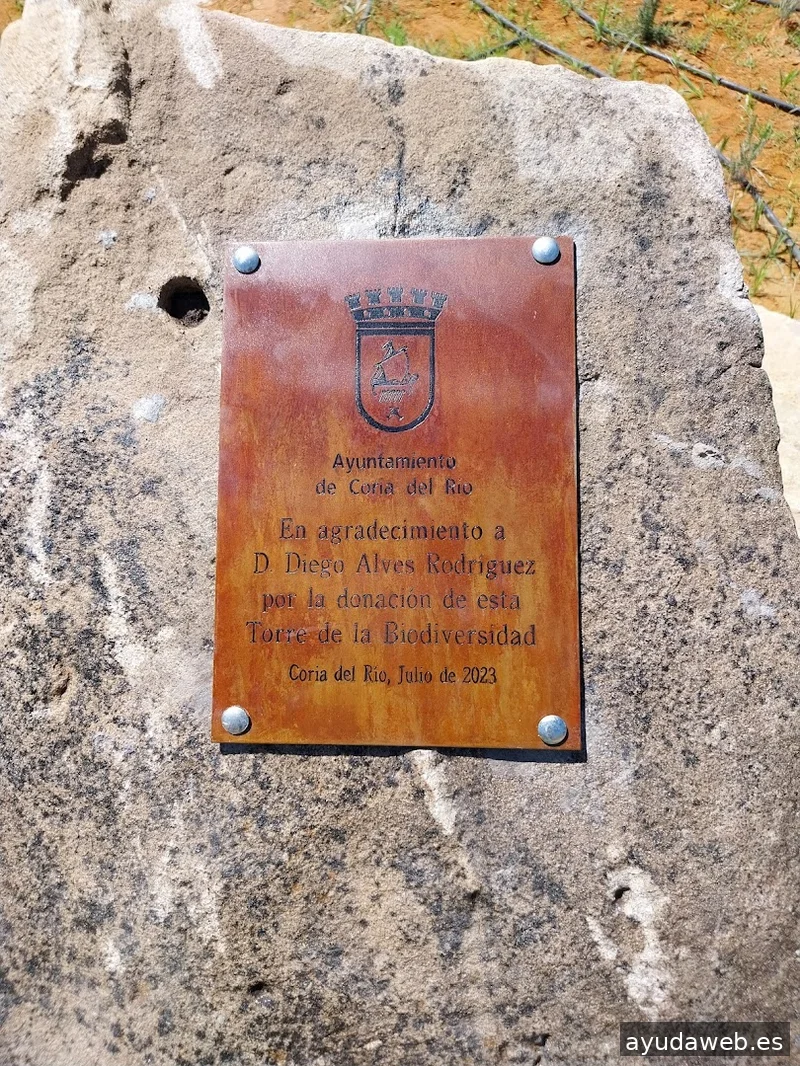 CAURAPRINT Rótulos Y Decoración