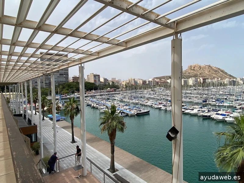 Ecommaster.es, Másters de Marketing Digital y Comercio Electrónico en Alicante
