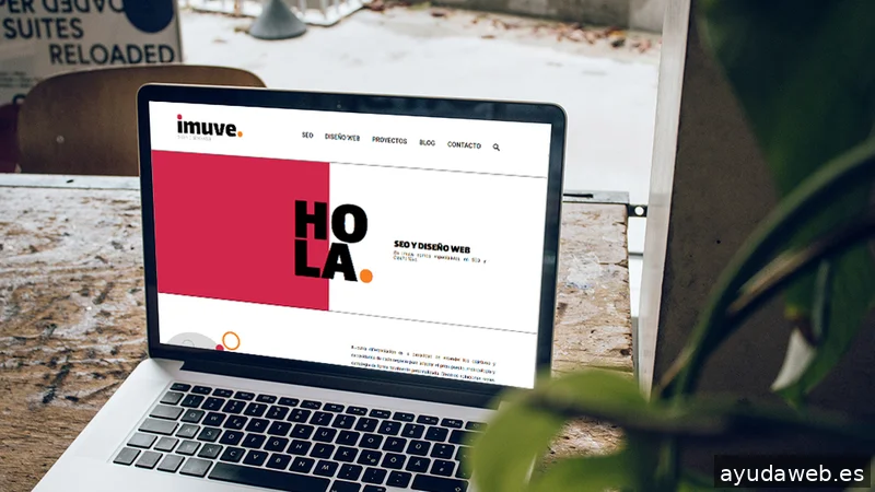 Imuve | Agencia SEO y diseño web en Alicante