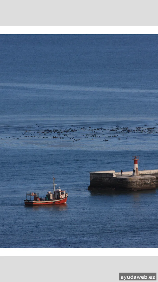 Red Kettle Marketing