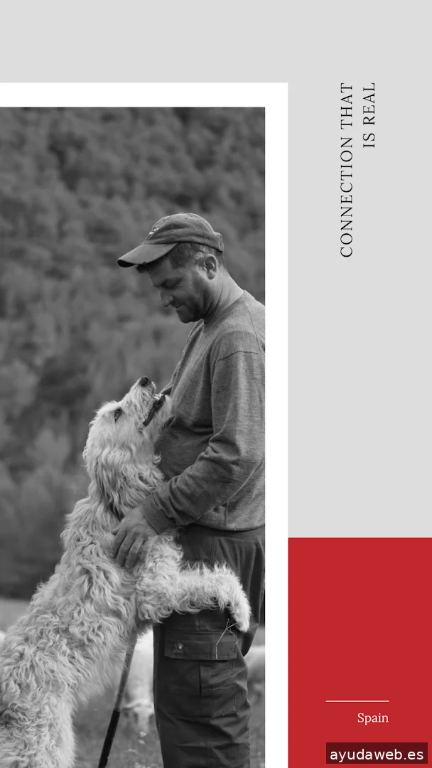 Red Kettle Marketing