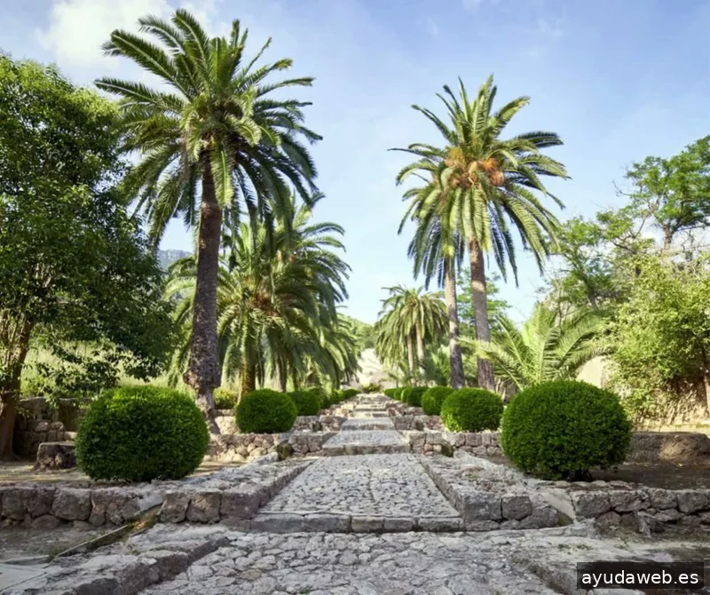 Impresol Media Solutions