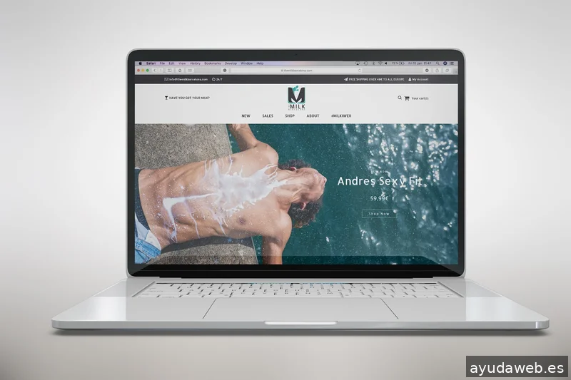 The Look Blog Agency