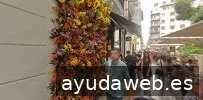 Buzoneo en Alicante, Publidirecta