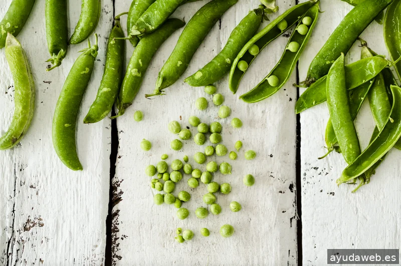 Foodfilmmakers