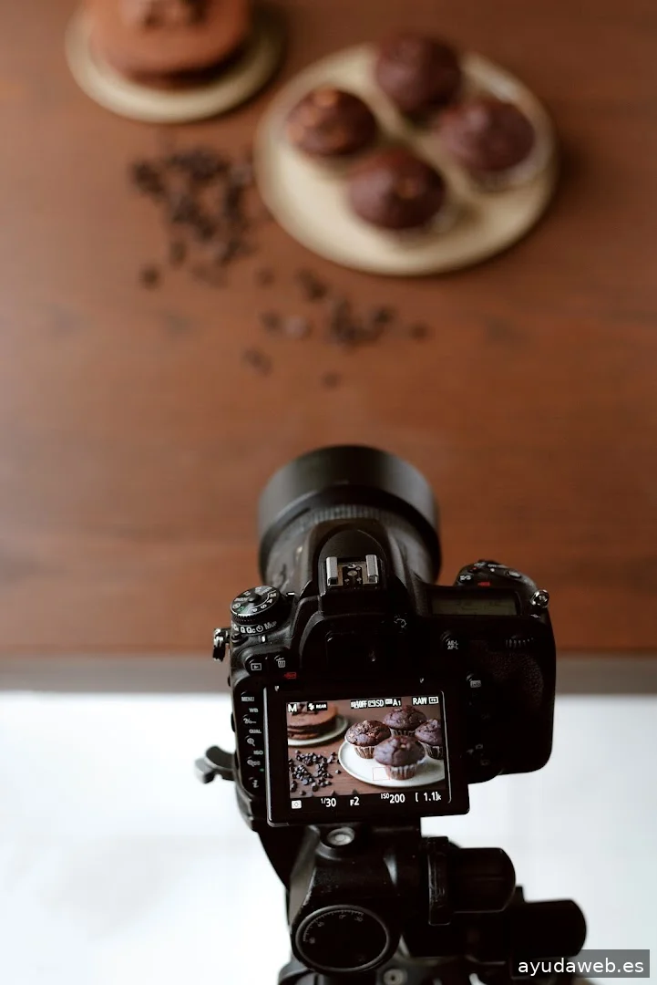 La Red Marketing Digital-Elche-Alicante-Murcia