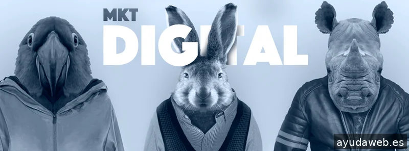 Easymatic - Marketing Digital