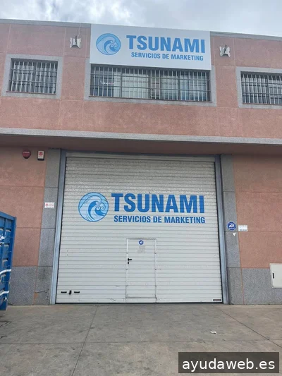 Tsunami Servicios De Marketing
