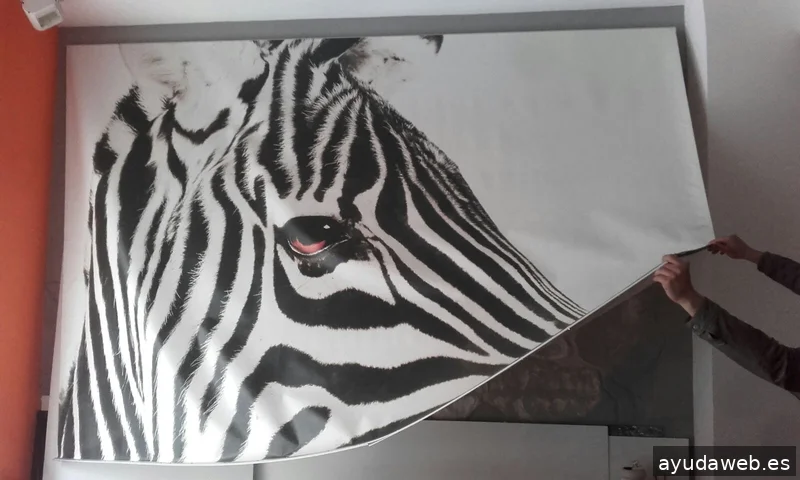 Zebra Vinilos Rotulación