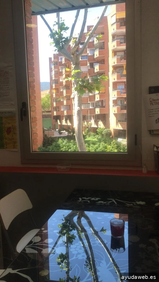 PW BCN: Agencia SEO Maresme - Mataró - Premia de Mar