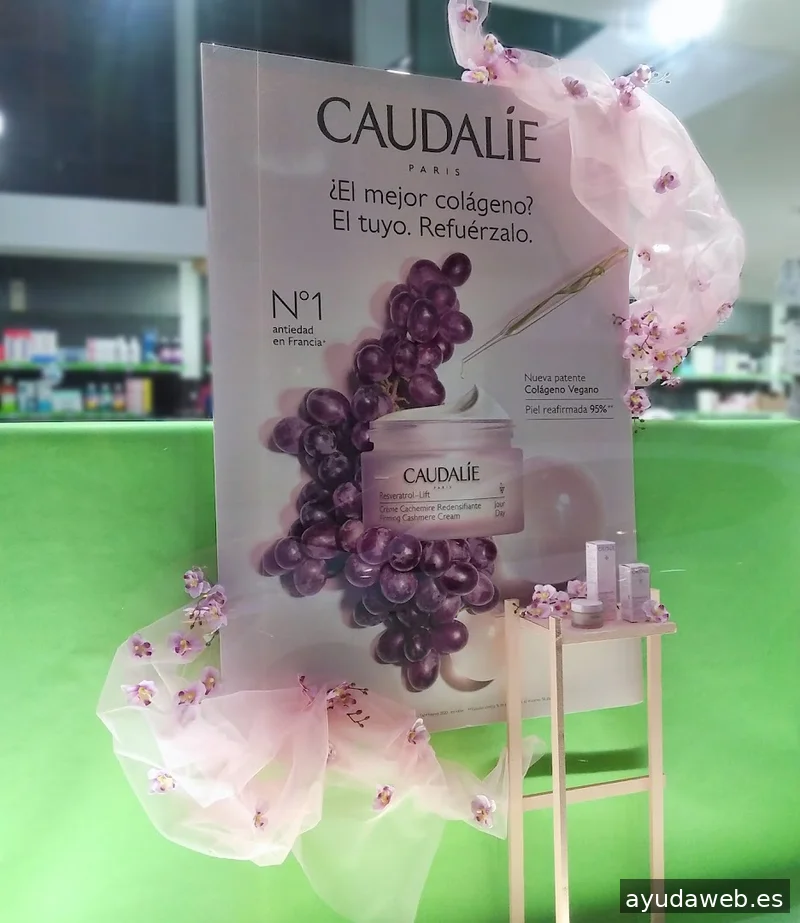 Olga Batalla · Escaparatismo · Visual Merchandising