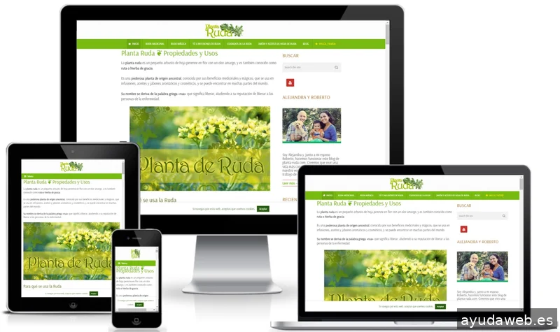 Diseño Web Toledo © Páginas Web en Toledo