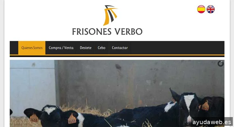 Diseño Web Toledo © Páginas Web en Toledo