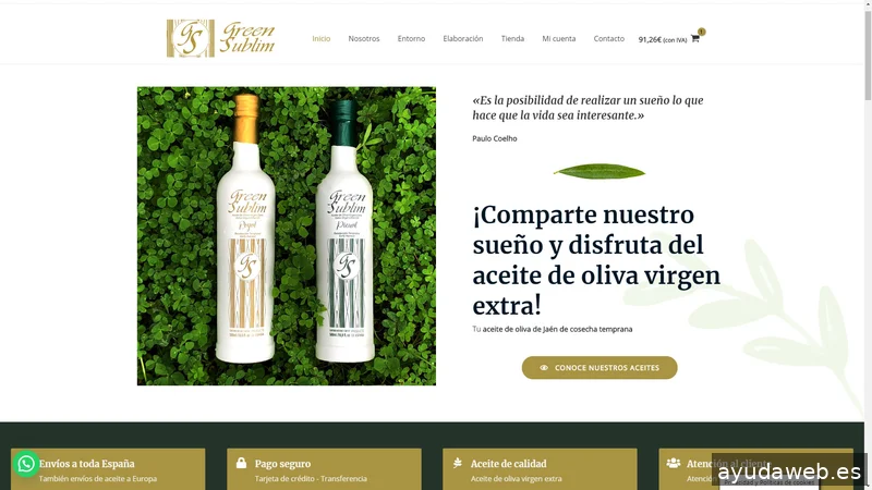 Nexo Virtual - Agencia de Marketing Digital y Diseño Web