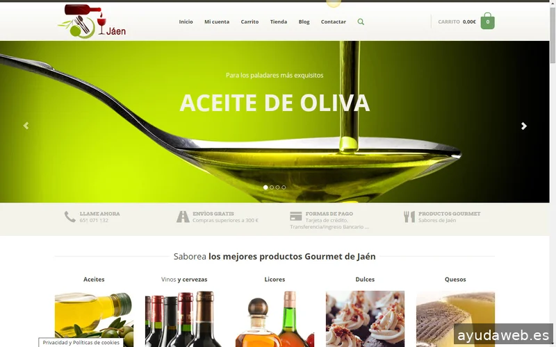 Nexo Virtual - Agencia de Marketing Digital y Diseño Web