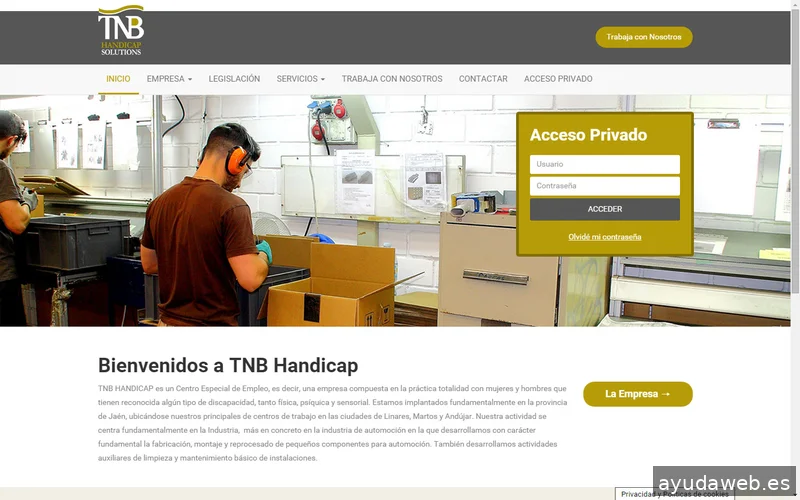 Nexo Virtual - Agencia de Marketing Digital y Diseño Web