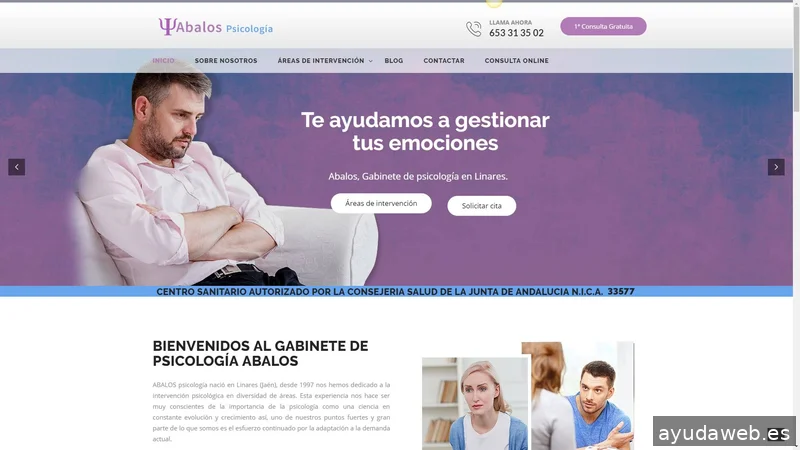 Nexo Virtual - Agencia de Marketing Digital y Diseño Web
