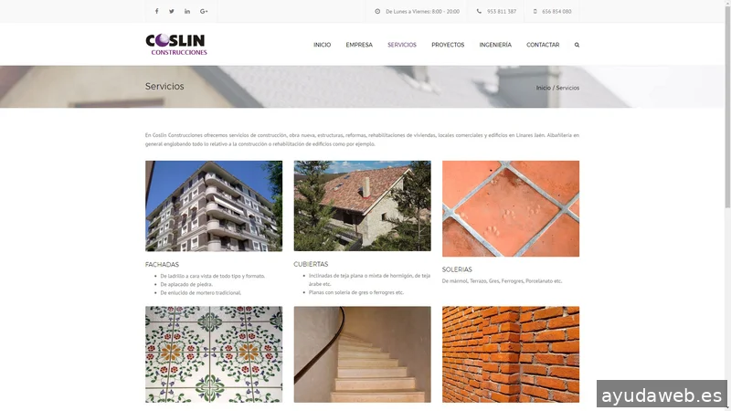 Nexo Virtual - Agencia de Marketing Digital y Diseño Web