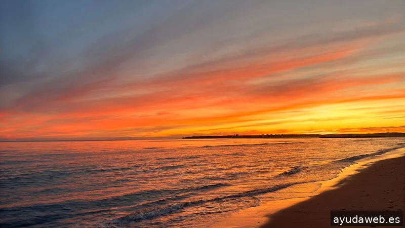 TobeOnline Agencia de Comunicación, Creatividad y Soluciones Digitales