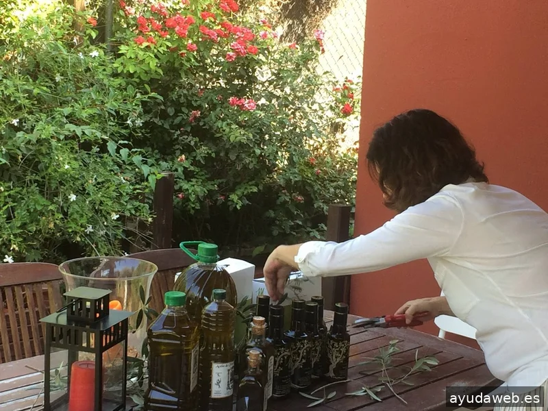 TobeOnline Agencia de Comunicación, Creatividad y Soluciones Digitales