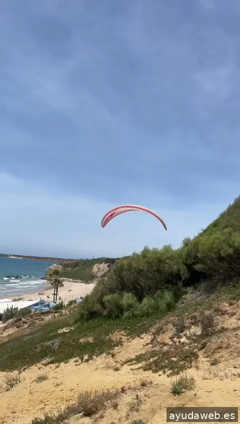 TobeOnline Agencia de Comunicación, Creatividad y Soluciones Digitales