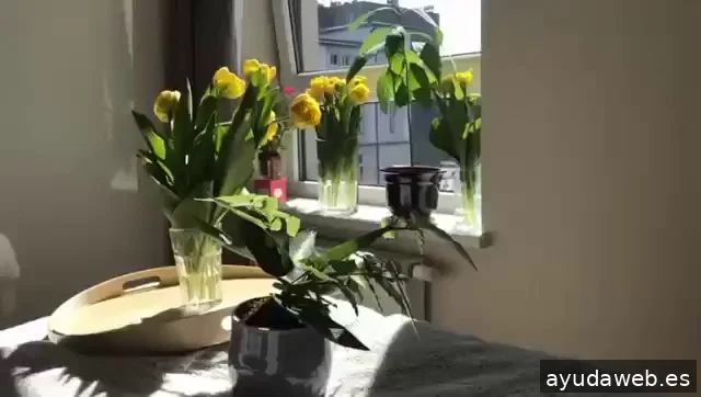 TobeOnline Agencia de Comunicación, Creatividad y Soluciones Digitales