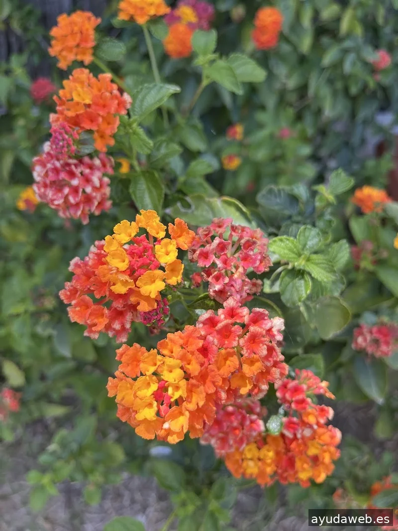 TobeOnline Agencia de Comunicación, Creatividad y Soluciones Digitales