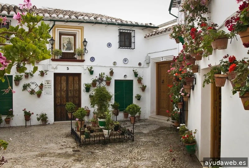 Paseos Priego - Visitas Guiadas