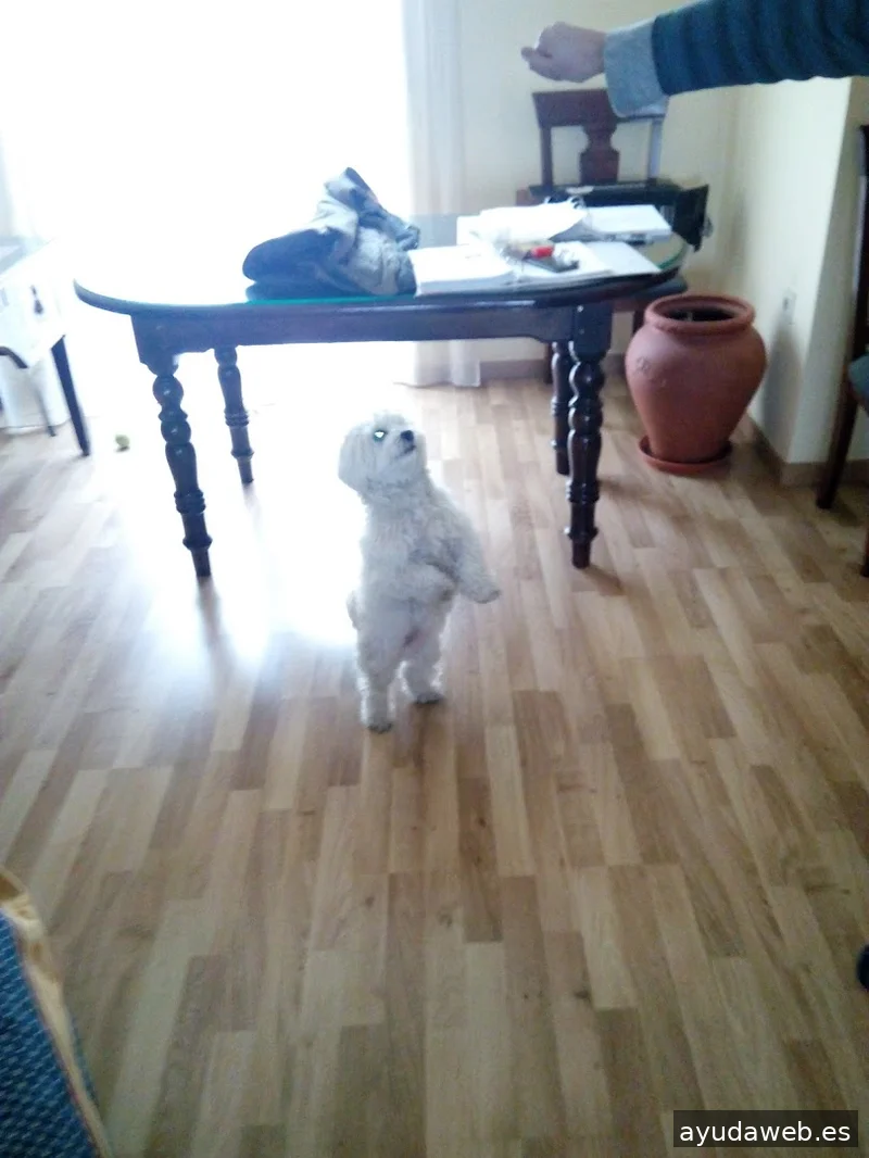 Paseos Priego - Visitas Guiadas