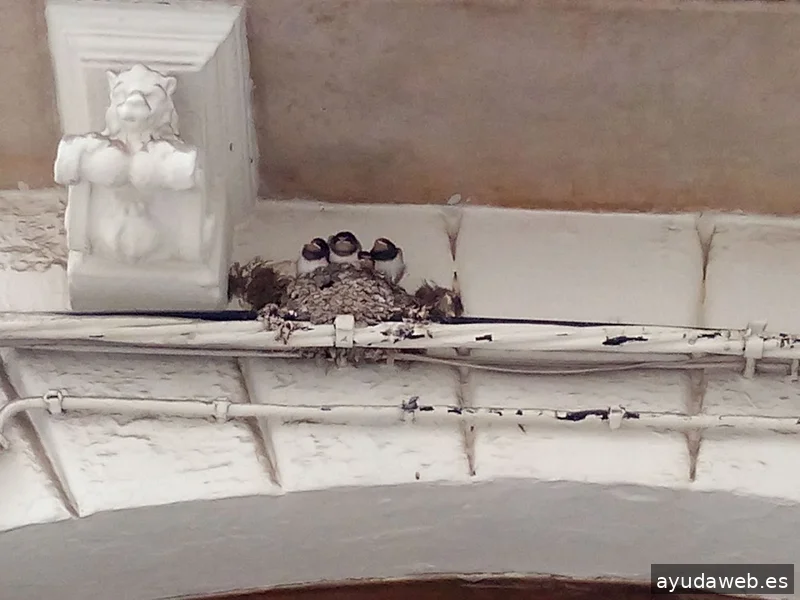 Paseos Priego - Visitas Guiadas