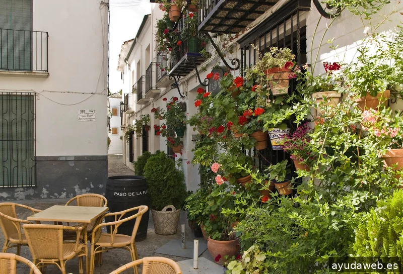 Paseos Priego - Visitas Guiadas