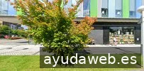 aldra