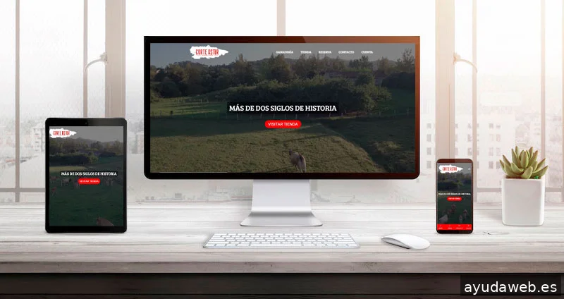 Digitalvar | Agencia de marketing digital en Oviedo ✅