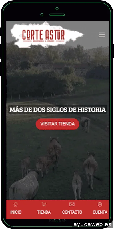 Digitalvar | Agencia de marketing digital en Oviedo ✅