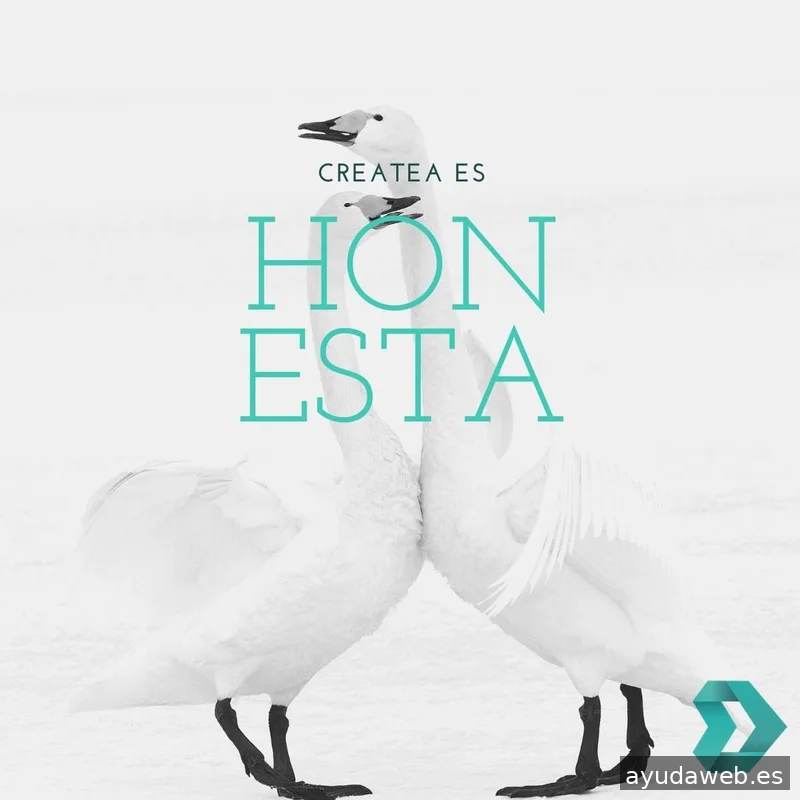 Createa Marketing