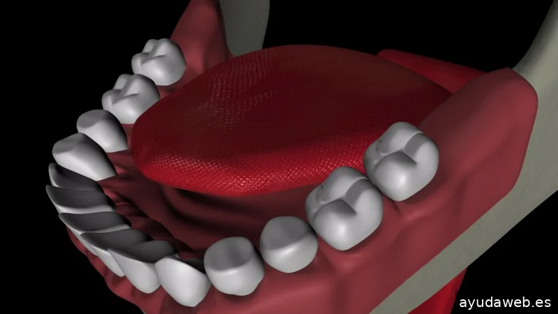 Muma Estudio Creativo