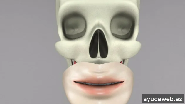 Muma Estudio Creativo