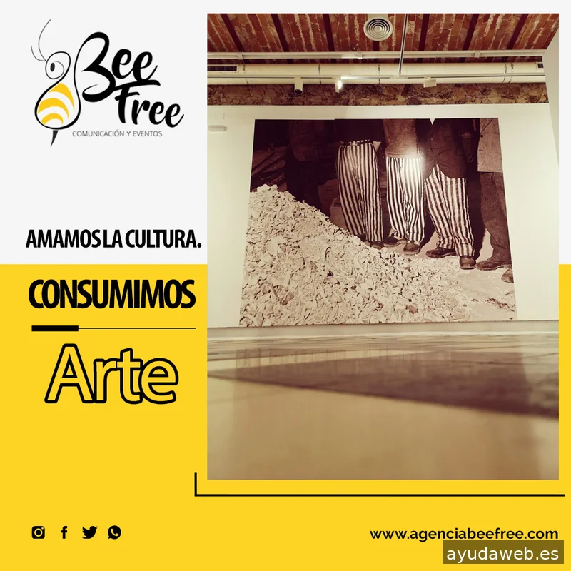 Agencia Bee Free
