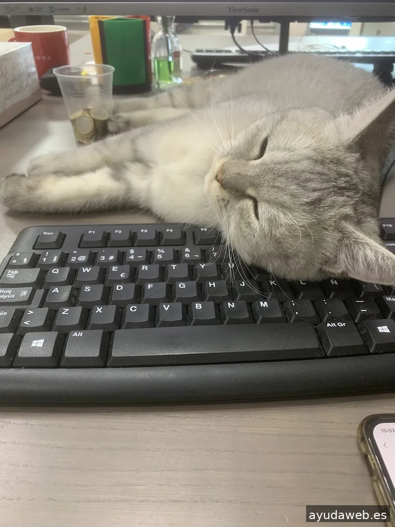 Densen Informatica