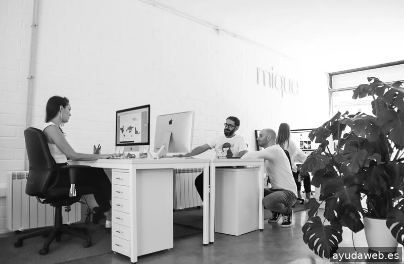 Estudio Mique, branding y diseño gráfico