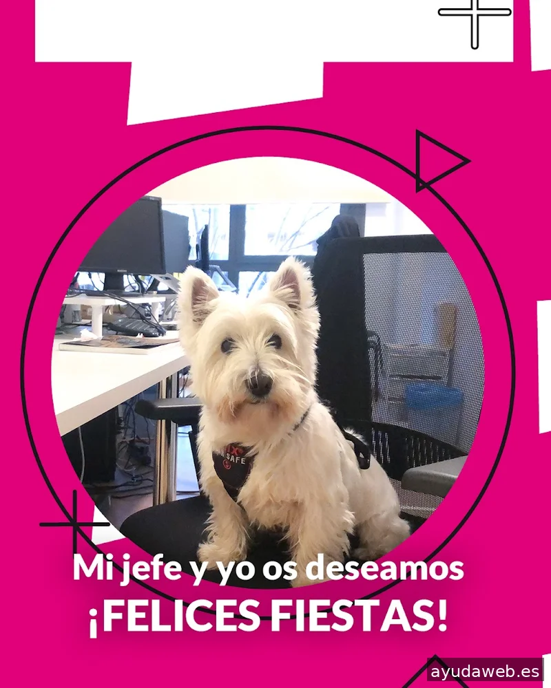 REDSOMEDIA